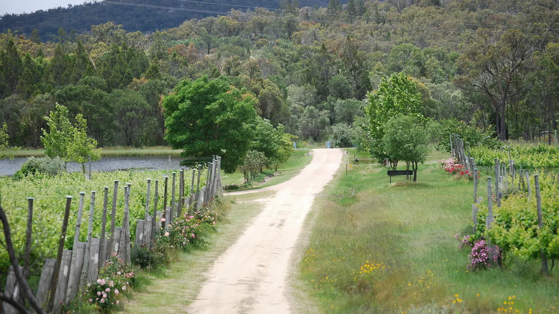 Holiday home Twisted Gum Vineyard Cottage