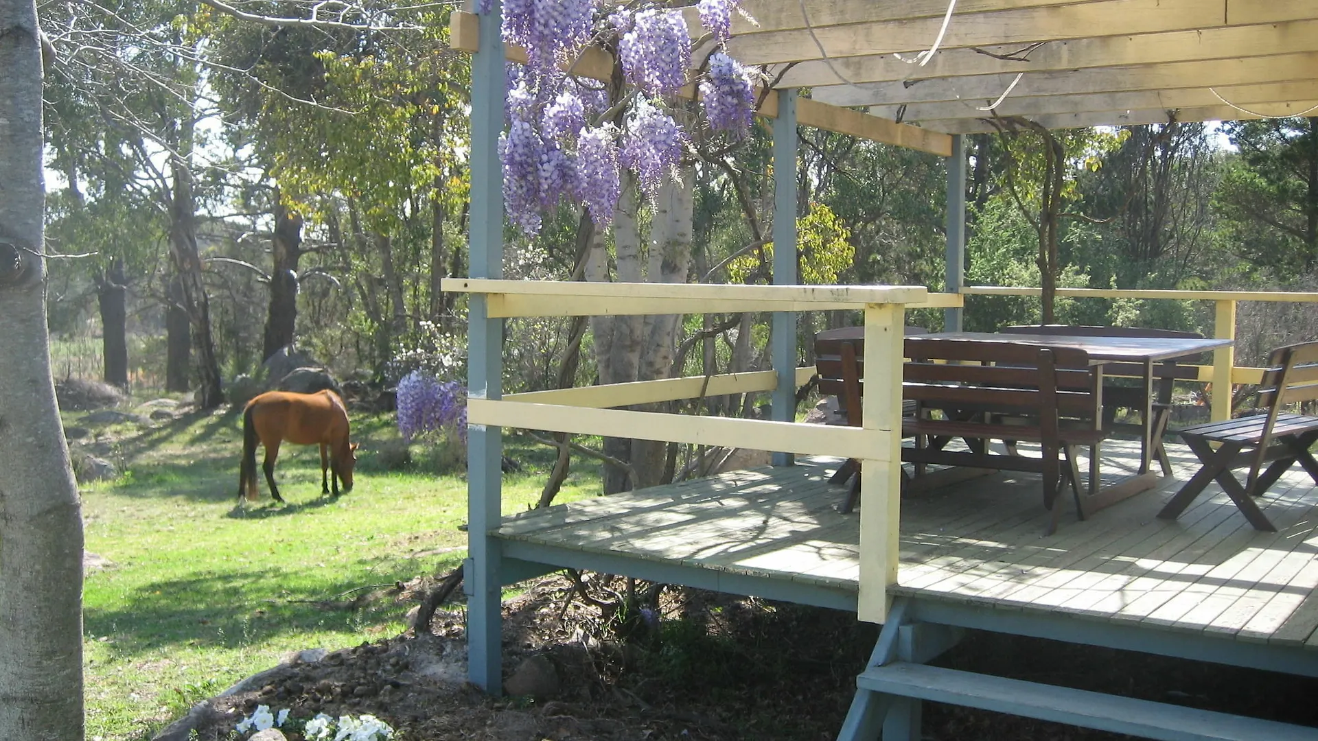 Twisted Gum Vineyard Cottage Ballandean Australien